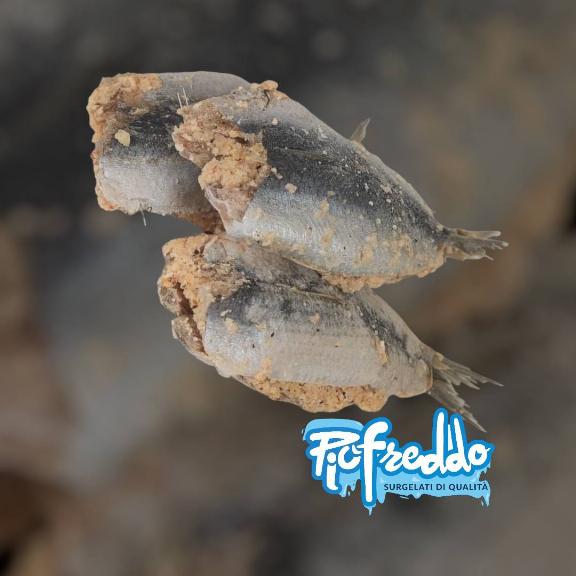 Sarde a "beccafico" - 500gr